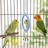 Pet Bird Mirror with Bell Interactive Parrot Toy Bird Cage