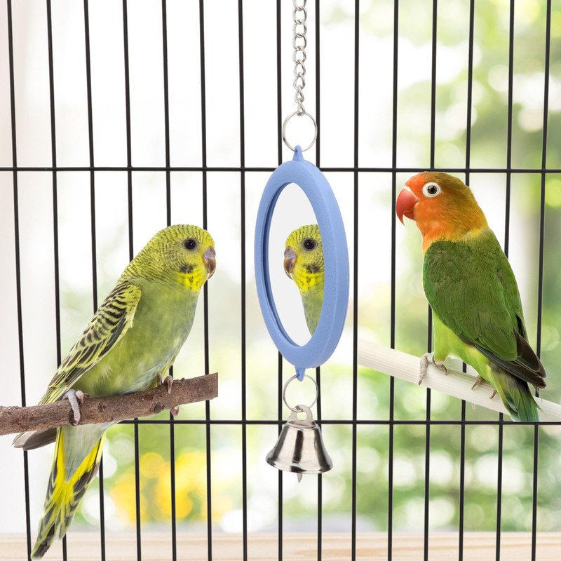 Pet Bird Mirror with Bell Interactive Parrot Toy Bird Cage