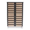 Baxton Studio Shoe Cabinets, One Size, Oak/Dark Gray