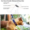 EzyDog Neo Dog Collar - Waterproof & Reflective Dog Collar