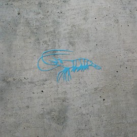 Transparent Decal Stickers Of Realistic Shrimp (Azure Blue) Premium Waterproof Vinyl Decal Stickers For Laptop Phone Accessory Helmet Car Window Mug Tuber Cup Door Wall Decorati USCSKUS511444BE090622