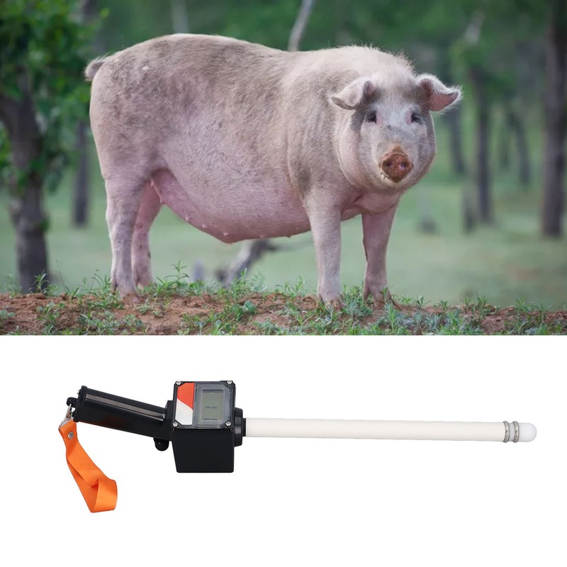 Pig Ovulation Detector Arc Probe Non Destructive Detection Digital Display