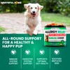 Dog Allergy Relief Chews - Dog Itch Relief - Probiotics,