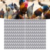 200PCS PP Plastic Chicken Beak Clasps Reusable Rooster Mouth Snap