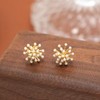 Aleasha Cluster Pearl Earrings Gold Small Pearl Stud Earrings for