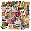 50 PCS Meme Stickers,Funny Stickers,Teens Boys and Girls Sticker Pack