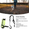 Hands Free Dog Leash Shock Absorption Reflective Dog Running Leash