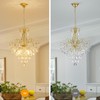 WUZUPS Crystal Chandelier 5-Light Pendant Ceiling Light Modern Lighting Fixture
