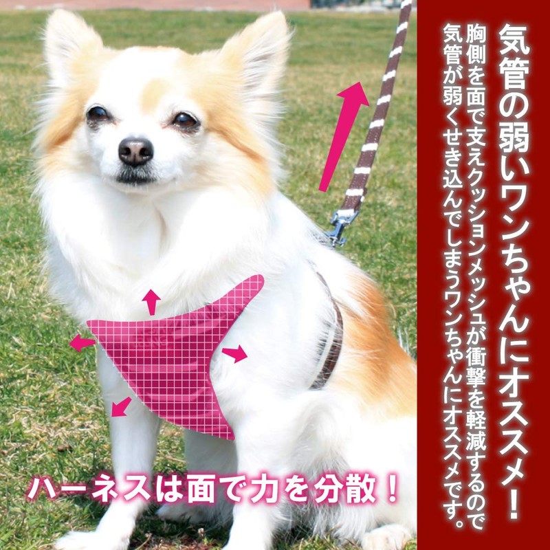 Striped Sort Full Harness Leads (Pink, Medium)