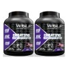 Duo Creatina Wolf 1kg + Creatina Wolf 1kg Varios Sabores