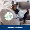 American Kennel Club Male Dog Wrap, Disposable Diapers with Wetness