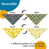Cute Fruit Dog Bandanas 2 Pack, 4 Patterns Watermelon Lemon