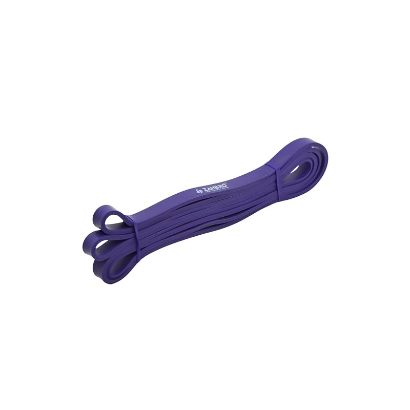 ZAHBRO Resistance Band For Men and Women Pull up Bar,