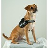 EZYDOG Convert Dog Harness | Magnetic Handle, Anti Pull Harness,