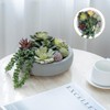 MyGift 20,3 centímetros Arreglo de Plantas suculentas Artificiales en Maceta