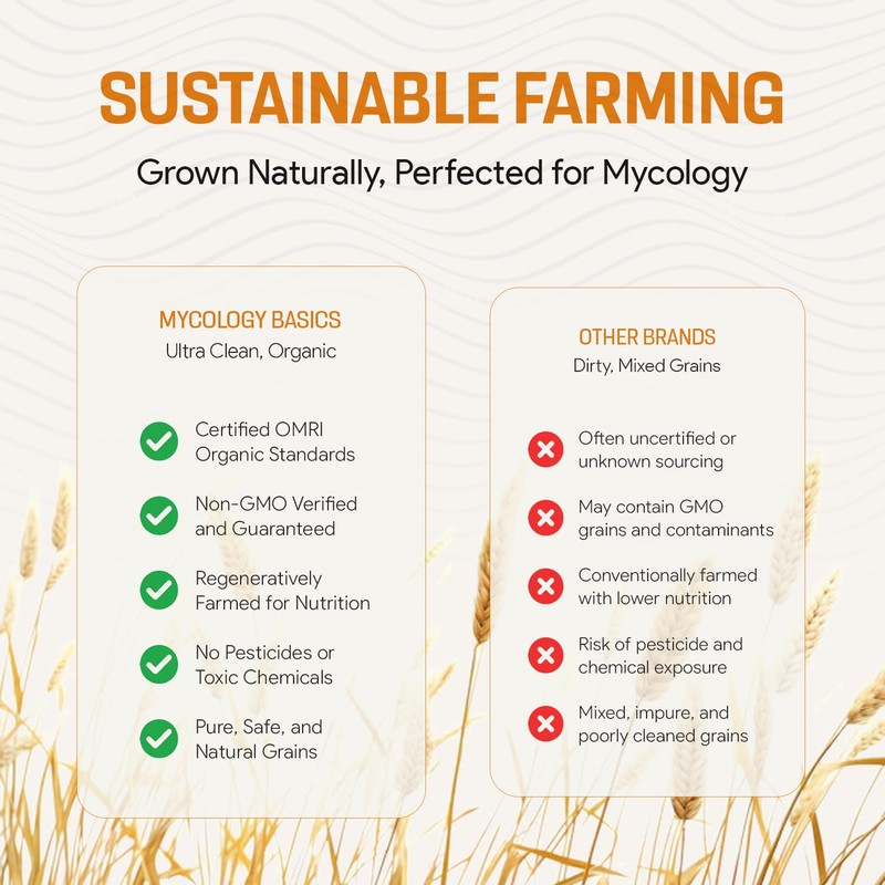 Rye Berries for Mushroom Spawn - Organic, Triple Washed Rye