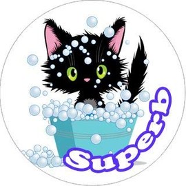 144 Cute Cats Praise Words 30mm School Reward Stickers for Teachers or Parents