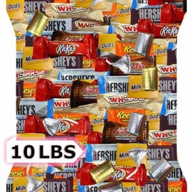 Chocolate Party Favor Candy Mix - 10 lb Stuffers - Goodie Bag Stuffers for Kids Party Favors - Chocolate Candy Variety Pack Bulk - Individually Wrapped Candies -