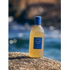 Aromatica Tea Tree Purifying Shampoo 400ml – Korean Anti-Dandruff Oily