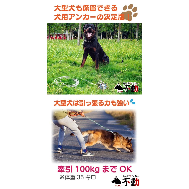 FUNKS Dog Anchor, Steadfast Peg Bolt Anchor Set, Dog Anchor,