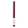 Maybelline New York Superstay Ink Crayon - 60 Accept A