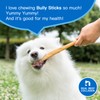 Elite Woof Bully Sticks for Dogs - 6 Inch Thin