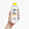 Garnier, 2 Pack Skin Active Micelar Express Aclara 400Ml +