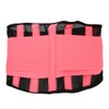 Breathable Mesh Support Exercise Belt Fitness Waist Training Gym for