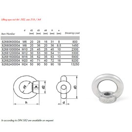 M10 Lifting Eye Nuts Made from Marine Grade A4 Stainless Steel 316 (Pack of 2)