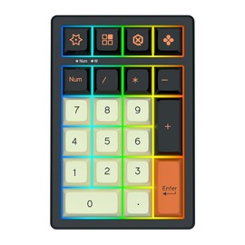 BOYI TD21 Hot Swap Numpad,21 Keys Mini Numpad Portable Keypad Bluetooth5.0/2.4G/Wired Number Pad Keyboard PBT Keycaps RGB Backlit Type-C Mini Keyboard (Single Yellow Cherry Keycaps)