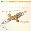 TEENGSE Fire Pit Control Safety Valve, Heater Safety Kit Replacement