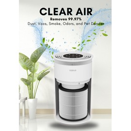 True HEPA Air Purifier (C8) 3-Stage Filtration System, 360° Air Intake, Ultra-Quiet, Ideal for Large Rooms, and Ozone Free (Medium)