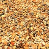 Conifer Bonsai Soil by Tinyroots – 100% Formulated and Pre-Mixed