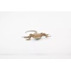 Unbranded Desert Iguana, Lizard, Toy, Realistic, Figurine, Model 5" F6101