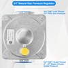 Catilon Natural Gas Pressure Regulator 3/4" FNPT, Gas Propane Pressure