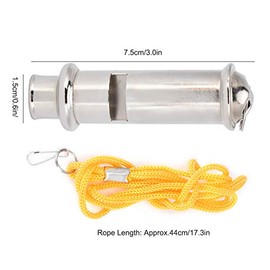 LZKW Pigeons Whistle, Silver Training Whistle with Portable Lanyard Mini Corrosion Protection for Pigeons for Young Pigeons for Birds for Carrier Pigeons
