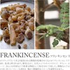 DANNY LIB Frankincense Incense Cones Incense Holder Set of 25
