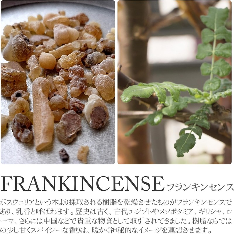DANNY LIB Frankincense Incense Cones Incense Holder Set of 25
