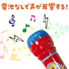 Artec 7755 Echo Microphone