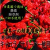 (100% Domestic Ingredients) Carolina Reaper Super Spicy Shichimi Chili Pepper,