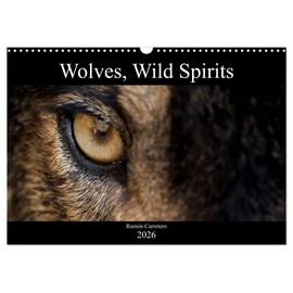 Wolves, Wild Spirits (Wall Calendar 2026 DIN A3 Landscape), CALVENDO 12 Month Wall Calendar: Stunning images of the most legendary predator. (CALVENDO Animals)