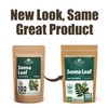 100 Bags Senna Leaf Senna Leaves Tea Herbal Tea (Senna