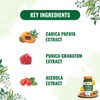 Generic Generic Papaya Leaf & Fruit Extract Supplement with Vitamin