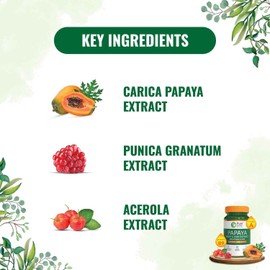 Generic Generic Papaya Leaf & Fruit Extract Supplement with Vitamin C & Iron,Immunity & Digestive Health - 600Mg (720 Iu) 60 Veg Capsules