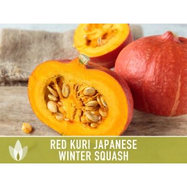 Xplosionseeds 20+ Buttercup Squash Seeds | Waltham Butternut - Organic