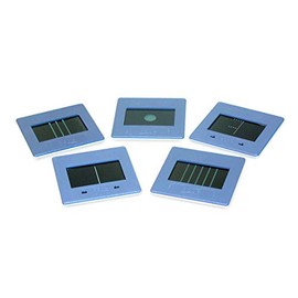 3B Scientific U17040 Slotted and Hole Diaphragm Pack of 5