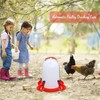 Automatic Chicken Drinkers Waterers Upgraded - 10 Pcs Red Poultry