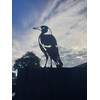 Magpie Standing Garden Stake - Australian Made Rusted Metal Garden
