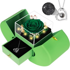 Lebana - Rosa real verde preservada, regalos de cumpleaños para mujeres, ella, mamá, esposa, novia, abuela, aniversario, Navidad, romántico, verde