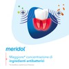 Meridol Parodont Expert toothpaste 75 ml